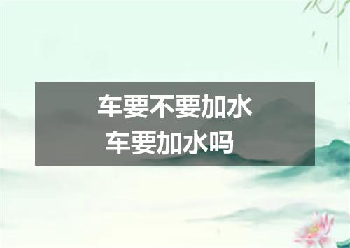 车要不要加水 车要加水吗