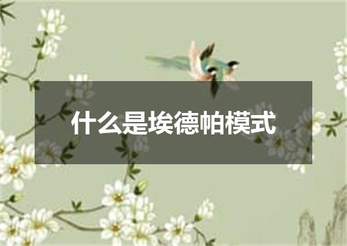 什么是埃德帕模式