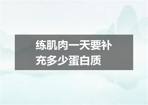 练肌肉一天要补充多少蛋白质