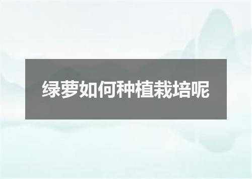 绿萝如何种植栽培呢