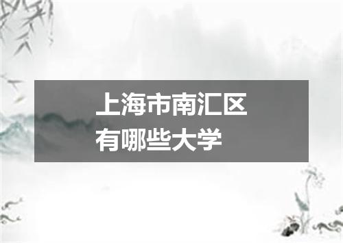 上海市南汇区有哪些大学