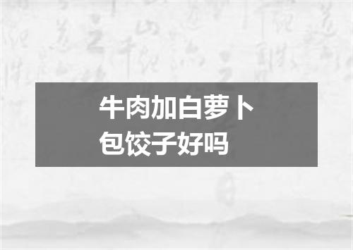 牛肉加白萝卜包饺子好吗
