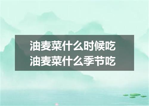 油麦菜什么时候吃 油麦菜什么季节吃