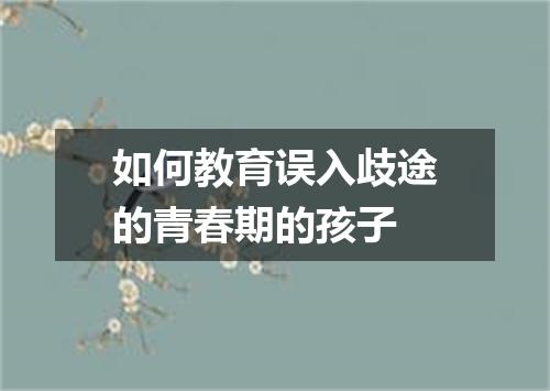 如何教育误入歧途的青春期的孩子