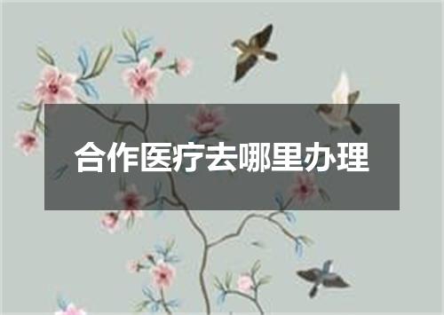合作医疗去哪里办理