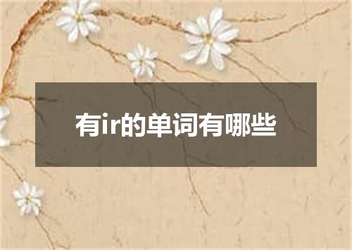 有ir的单词有哪些
