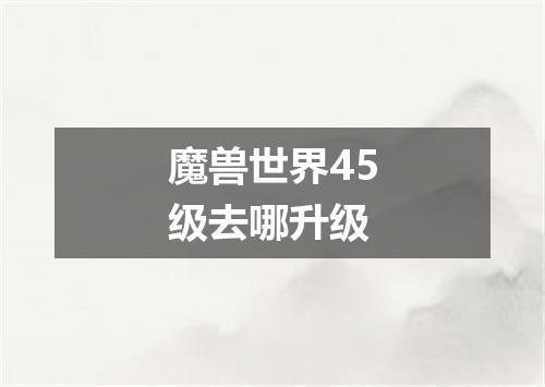 魔兽世界45级去哪升级