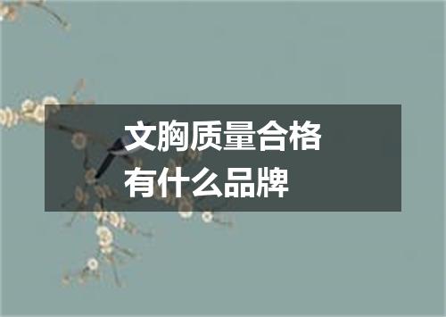 文胸质量合格有什么品牌