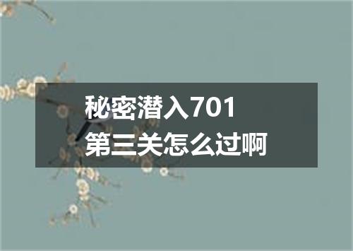 秘密潜入701第三关怎么过啊