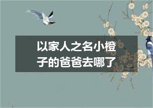 以家人之名小橙子的爸爸去哪了