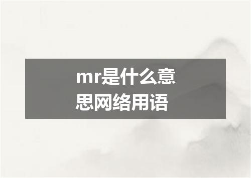 mr是什么意思网络用语