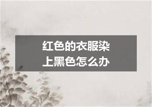 红色的衣服染上黑色怎么办
