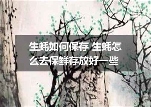 生蚝如何保存 生蚝怎么去保鲜存放好一些