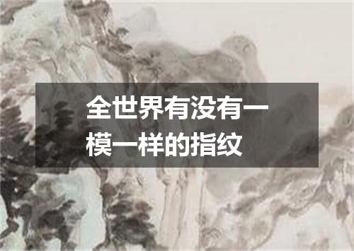全世界有没有一模一样的指纹