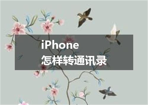 iPhone怎样转通讯录