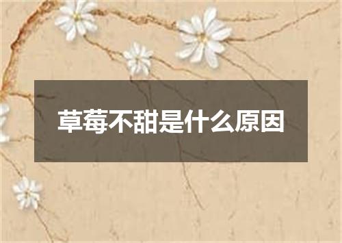 草莓不甜是什么原因