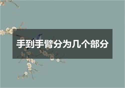 手到手臂分为几个部分