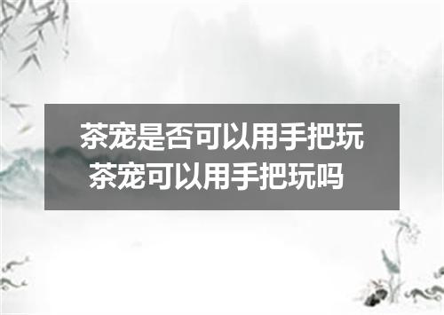 茶宠是否可以用手把玩 茶宠可以用手把玩吗