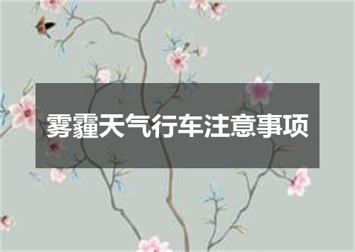 雾霾天气行车注意事项