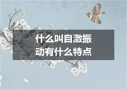 什么叫自激振动有什么特点