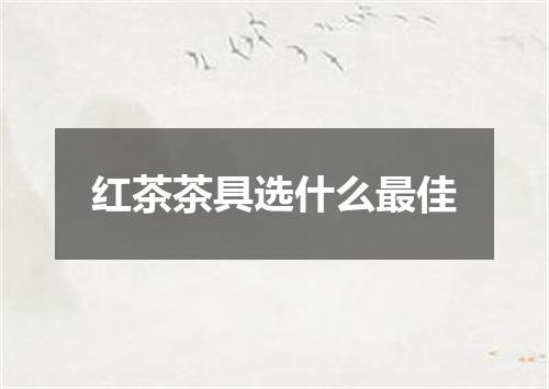 红茶茶具选什么最佳