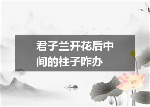 君子兰开花后中间的柱子咋办