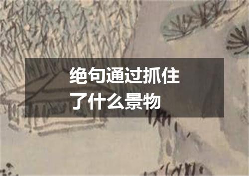 绝句通过抓住了什么景物