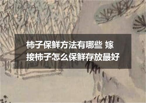 柿子保鲜方法有哪些 嫁接柿子怎么保鲜存放最好