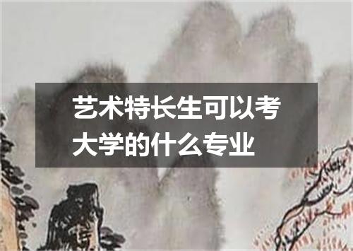 艺术特长生可以考大学的什么专业
