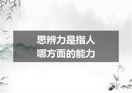 思辨力是指人哪方面的能力