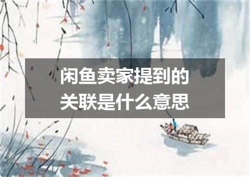 闲鱼卖家提到的关联是什么意思