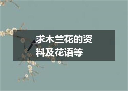 求木兰花的资料及花语等