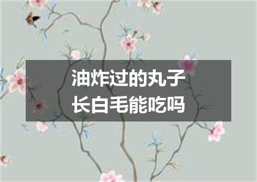 油炸过的丸子长白毛能吃吗