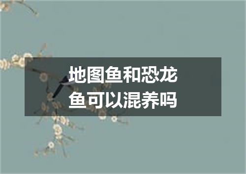 地图鱼和恐龙鱼可以混养吗