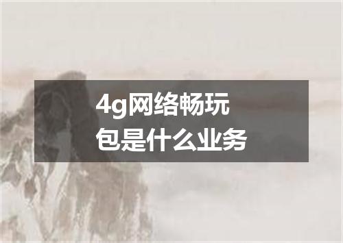 4g网络畅玩包是什么业务