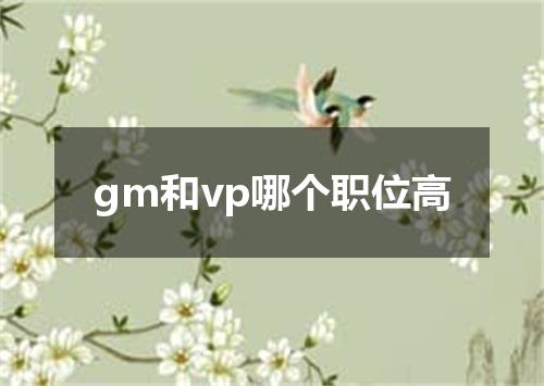 gm和vp哪个职位高