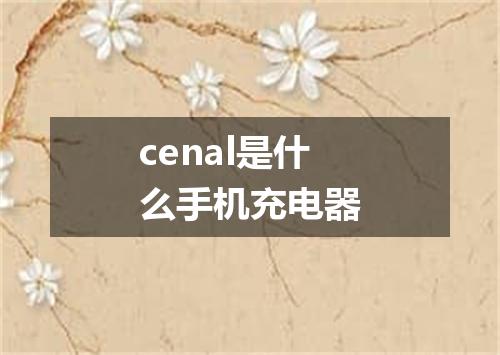 cenal是什么手机充电器
