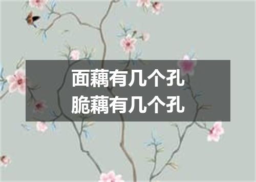 面藕有几个孔脆藕有几个孔