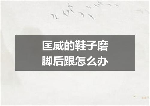 匡威的鞋子磨脚后跟怎么办