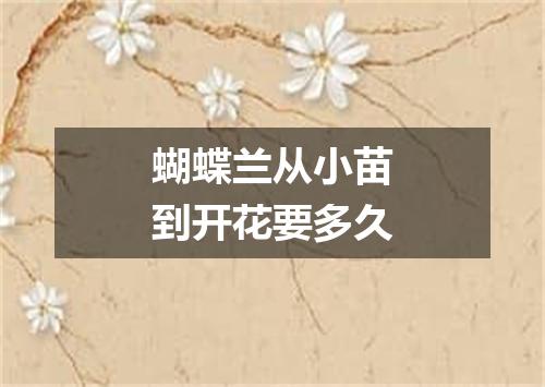 蝴蝶兰从小苗到开花要多久