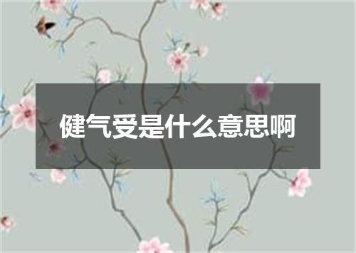 健气受是什么意思啊