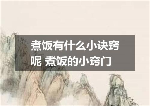 煮饭有什么小诀窍呢 煮饭的小窍门