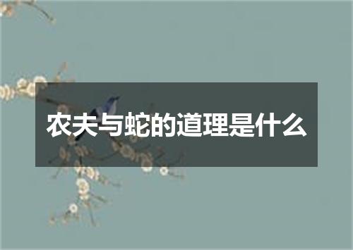 农夫与蛇的道理是什么