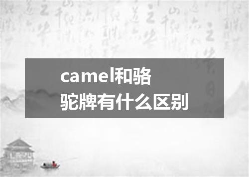 camel和骆驼牌有什么区别