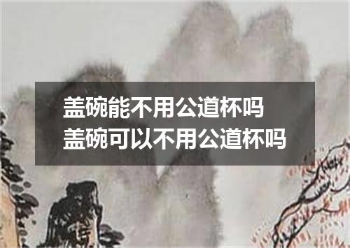 盖碗能不用公道杯吗 盖碗可以不用公道杯吗