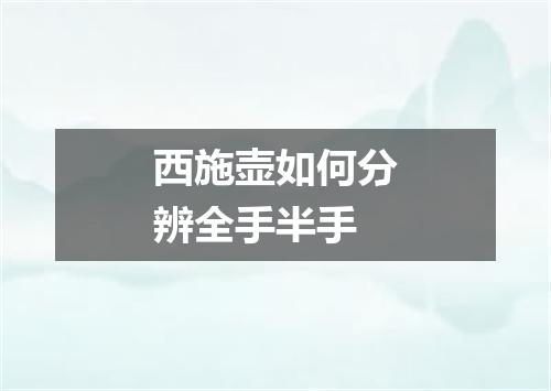 西施壶如何分辨全手半手