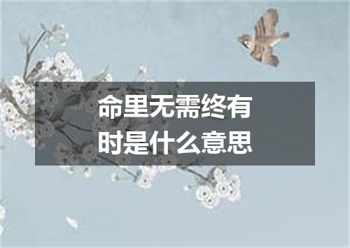 命里无需终有时是什么意思