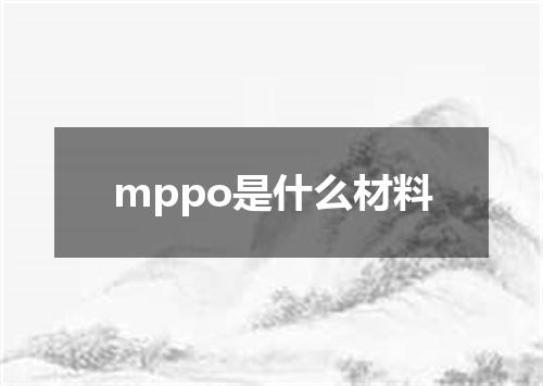 mppo是什么材料