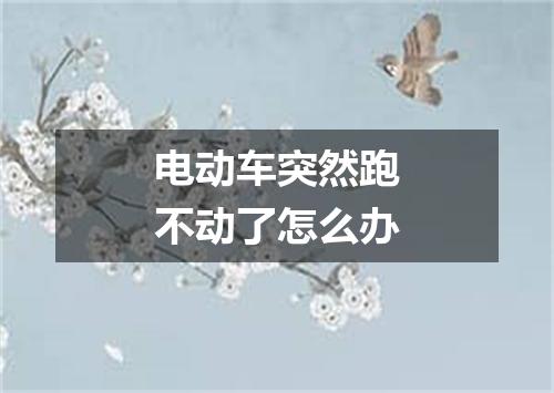 电动车突然跑不动了怎么办