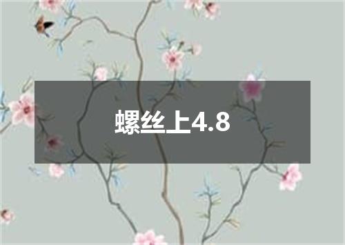 螺丝上4.8